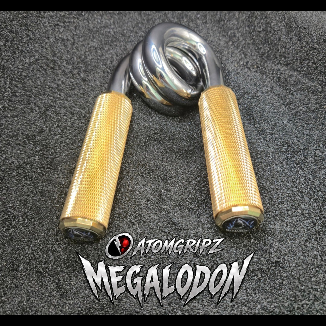 The Megalodon