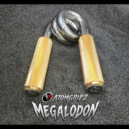 The Megalodon