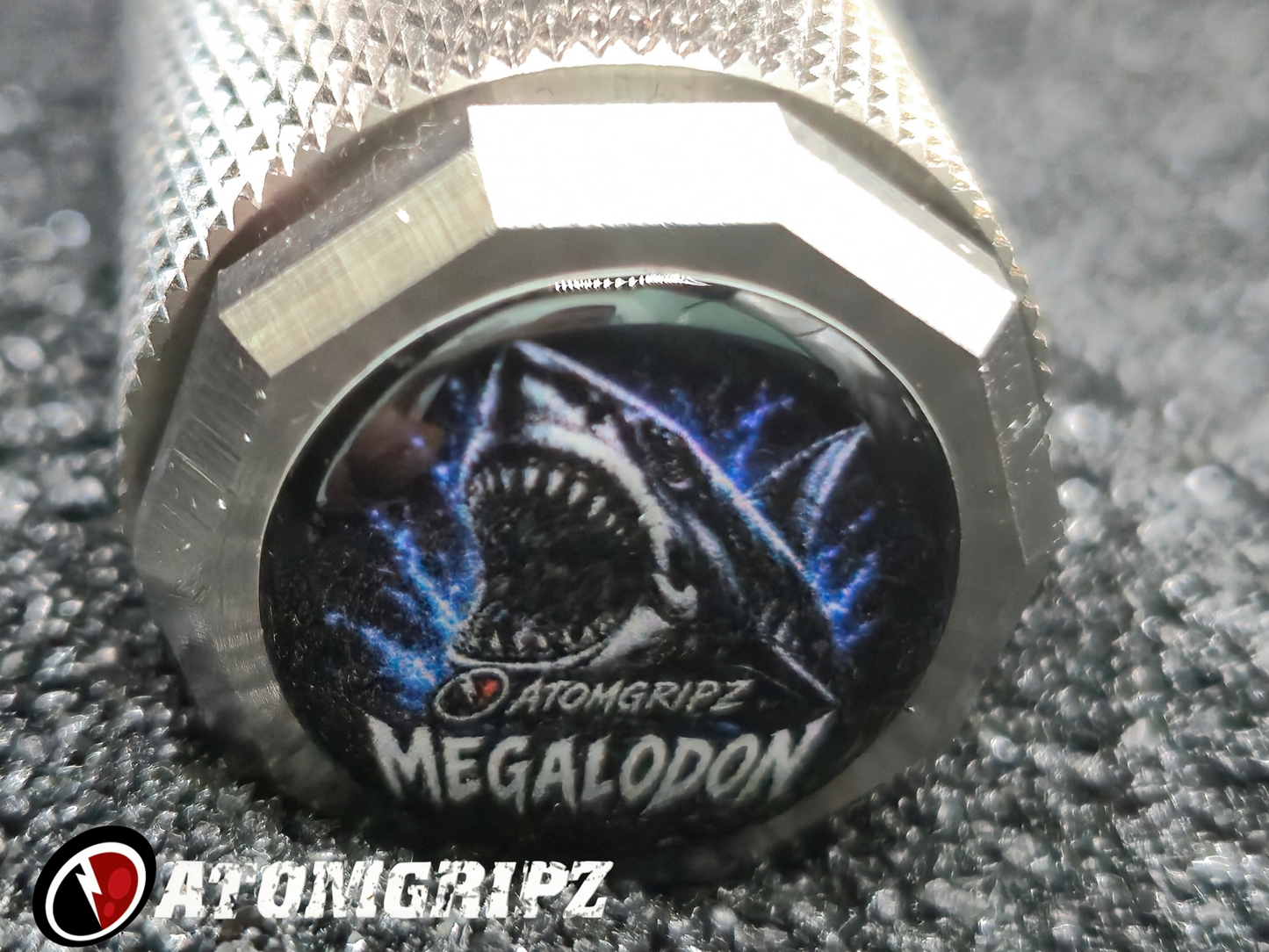 The Megalodon