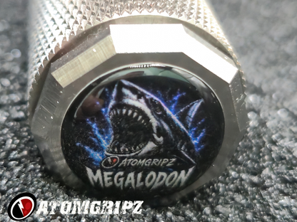 The Megalodon