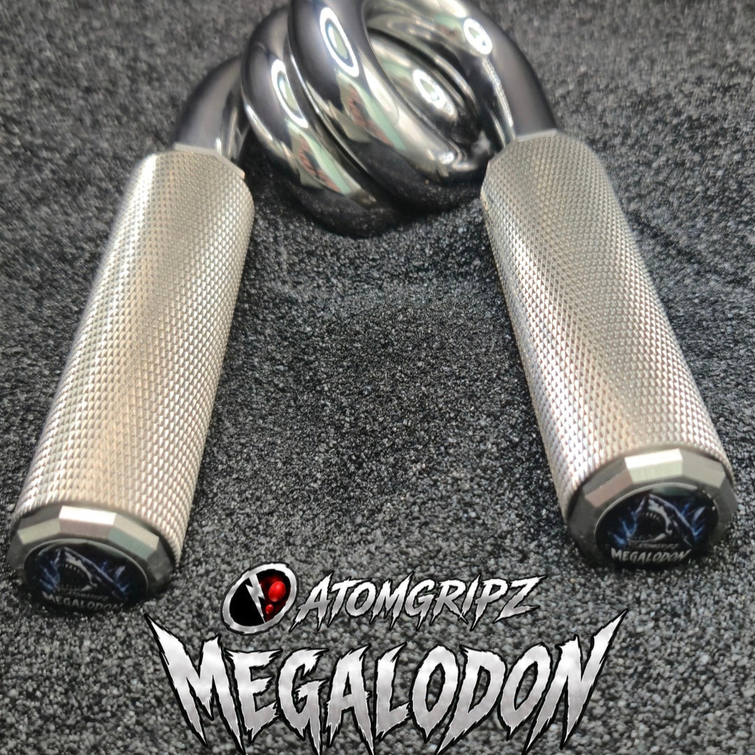 The Megalodon