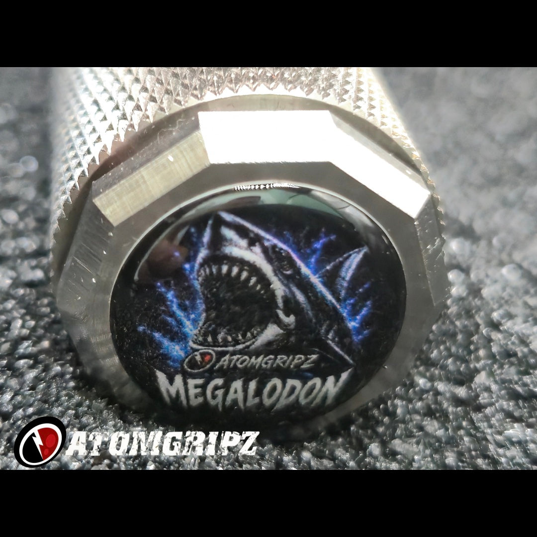 The Megalodon